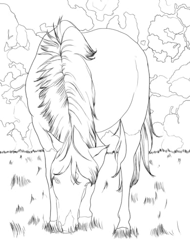 Horse Coloring Book: For Kids Ages 9-12 (Young Dreamers Coloring Books)