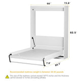 ROOMTEC Full Size Murphy Wall Bed, White, Space-Saving Furniture Bed Frame for Bed Room,Guest Room,Home Office ROOMTEC
