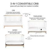Babyletto Scoot 3-in-1 Convertible Crib with Toddler Bed Conversion Kit in White and Washed Natural, Greenguard Gold Certified babyletto
