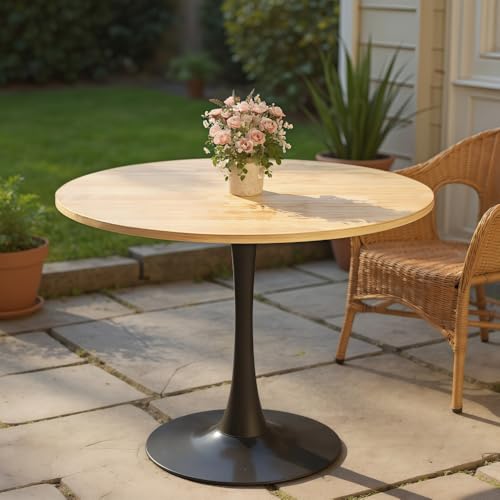 NestLude 24" Black Round Dining Table for 2-4 People, Modern Kitchen Table Mid Century Coffee Table for Small Places Dining Room Living Room Cafe (Wood) NestLude