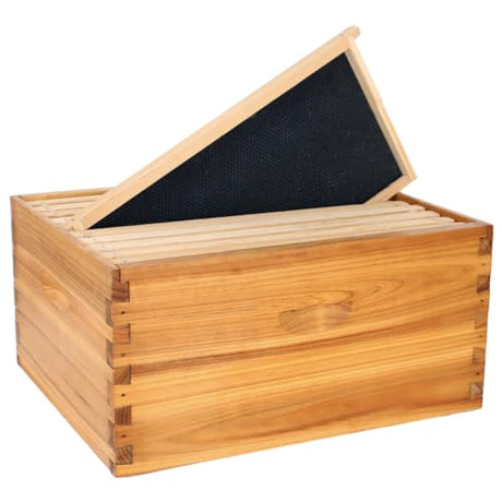 POLLIBEE 10 Frame Beehive Box, Langstoth Deep Brood Bee Hive Box, Bee Box Dipped in 100% Beeswax Includes Wooden Bee Frames & Waxed Foundations (Unassembled) POLLIBEE