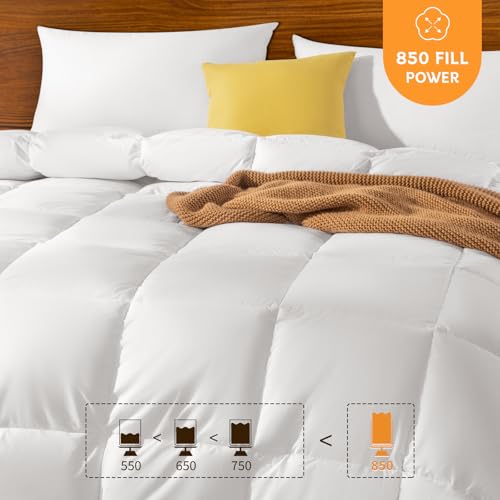 Shilucheng Goose Down Comforter Queen Size, 850+ Fill Power All Season Duvet Insert with 600TC Ultra-Soft Cotton Cover, 3D Baffle Box Design for Maximum Fluffiness (White,90x90 Inches) Shilucheng