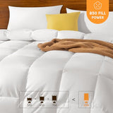 Shilucheng Goose Down Comforter Queen Size, 850+ Fill Power All Season Duvet Insert with 600TC Ultra-Soft Cotton Cover, 3D Baffle Box Design for Maximum Fluffiness (White,90x90 Inches) Shilucheng