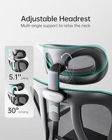 Hbada P3 Ergonnomic Office Chair with 2D Adjustable Lumbar Support, Office Chair with Adjustable Headrest and Armrest, 145° Stepless Tilt Function, Black(No Footrest) Hbada