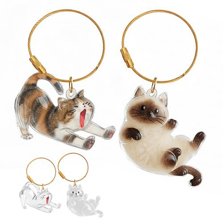 OGNWFUNK 2Pcs Cat Hair Keepsake Bottles, Pet Hair Keychain for Collecting Hair, Furever Gift for Pet Lovers, Cat Keychain Memory Keepsake OGNWFUNK