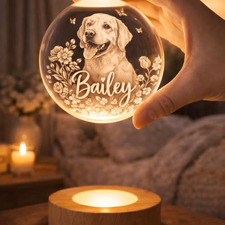 Evamall Personalized Pet Memorial Crystal Ball Night Light, Custom Cat Portrait Lamp, Pet Loss Keepsake, Gift for Dog Lovers, Dog Cat Memorial Gift Evamall