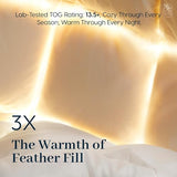 Goose Down Fiber Comforter Queen Size – All-Season Hotel Quality Duvet Insert, High Fill Power, Ultra Soft 100% Cotton, Box-Stitched, Breathable, Lightweight Luxurious White Bedding, 90"x 90" Sittova