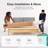 Novilla Queen Mattress, 14 Inch Queen Size Mattresses in a Box with Smarts™ Pocket Coil for Pressure Relief, Medium Plush Foam and Spring Hybrid Colchones with CertiPUR-US Certified Novilla