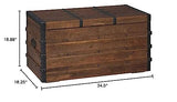 BOWERY HILL Storage Trunk Coffee Table in Brown BOWERY HILL