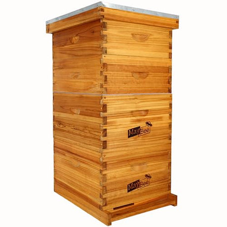 Maybee 8-Frame Langstroth Beehive Dipped in 100% Beeswax, Complete Bee Hives and Supplies Starter Kit Includes 2 Deep Hive Bee Box and 2 Bee Hive Super with Beehive Frames and Foundation MayBee