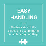 Galison Mixtapes 1000 Piece Puzzle from Galison - Beautiful Photographic Jigsaw Puzzle from Julie Seabrook Ream, 27" x 20", Perfect for Old School Music Lovers, Unique Gift Idea Galison