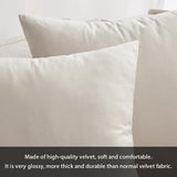 MIULEE Velvet Pillow Cover Soft Luxury Decorative Throw Pillow Cover Eruo Sham Single Rectangle Cushion Case for Couch Sofa Bedroom Car Decor,24x24 Inch Cream White MIULEE