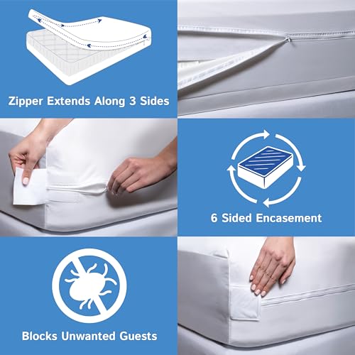 Full Size Mattress or Box Spring Encasement (5" to 8" Depth) - Low Profile Waterproof Zippered Protector Hypoallergenic Premium Bed Cover Protects from Dust Allergens Four Seasons Essentials