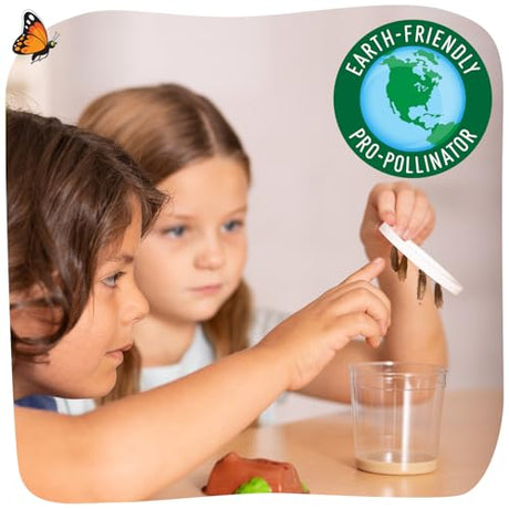 Insect Lore Raise and Release Butterfly Garden Kit – Caterpillar Habitat with redeemable Voucher – STEM-accredited Live Butterfly Growing Kit for Kids, Classrooms, and Homeschool Learning Insect Lore