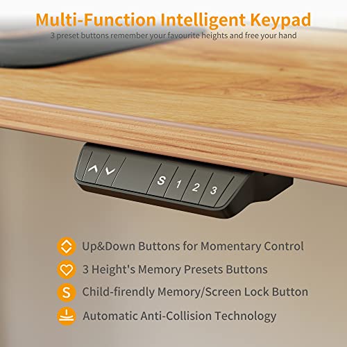 CubiCubi Standing Desk with Drawer, 48" x 24" Electric Height Adjustable Sit Stand Desk, Ergonomic Home Office Computer Workstation, Gray Frame Light Rustic Brown Top CubiCubi