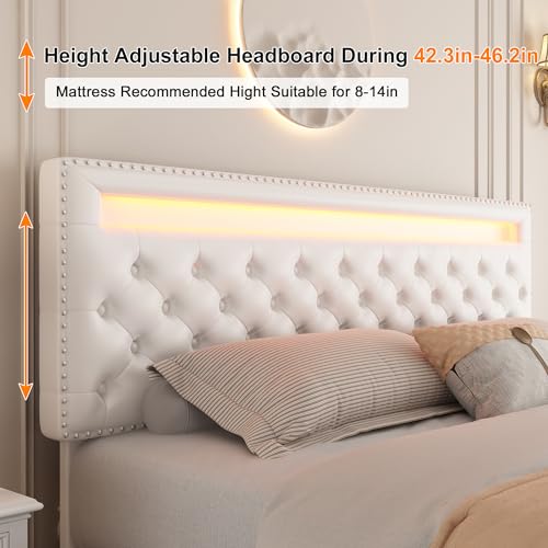 GEGOFORU Full Led Bed Frame with 4 Storage Drawers, with Smart Control RGBW LED Lights Headboard Footboard, Control DIY Color, Box Spring Optional, PU White Generic