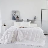 Lightweight Goose Down Comforter/Down Blanket/Duvet Insert for Summer/Warm Weather with Satin Trim, Noiseless & Extra Soft,White Full/Queen Size(90x90inch) Eastwarmth