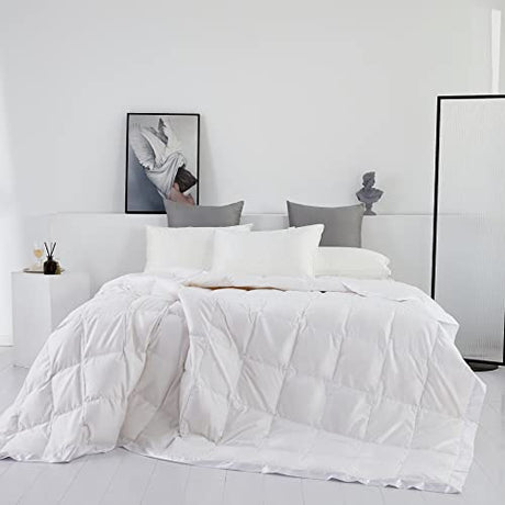 Lightweight Goose Down Comforter/Down Blanket/Duvet Insert for Summer/Warm Weather with Satin Trim, Noiseless & Extra Soft,White Full/Queen Size(90x90inch) Eastwarmth
