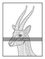 100 Animals: An Adult Coloring Book with Lions, Elephants, Owls, Horses, Dogs, Cats, and Many More! FILLBOSS