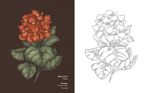 Floriography Coloring Book WoodArtSupply