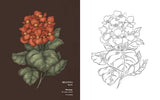 Floriography Coloring Book WoodArtSupply