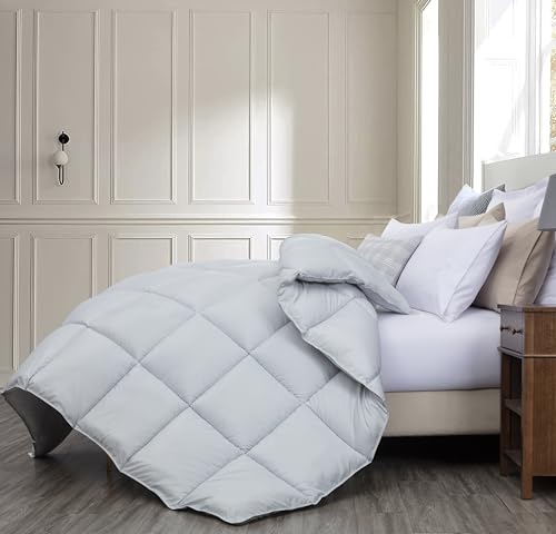 Chezmoi Collection All Season Twin Size Down Alternative Comforter - Plush Microfiber Fill - Box Stitch Quilted - Duvet Insert with Corner Tabs (Twin/Single, Silver Gray) Chezmoi Collection