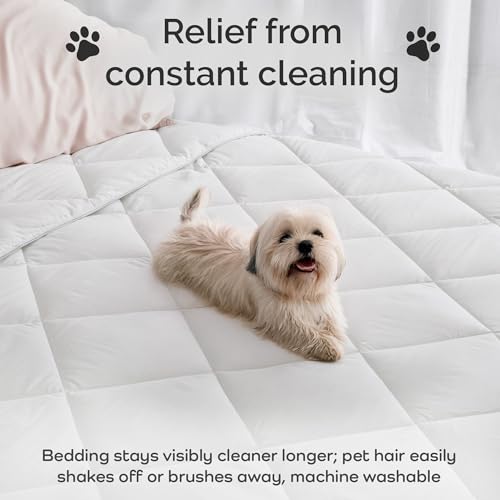 Bamtek 100% Viscose Derived from Bamboo Comforter, Cooling Comforter, Duvet Insert, Breathable, Extra Fluffy, Lightweight Comforters, King Size Bamtek
