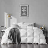 APSMILE Lightweight Feather Down Comforter Queen Size - Ultra Soft 100% Organic Cotton Quilted Duvet Insert, Thin Bedding Comforter for Warm Weather/Hot Sleepers (90x90, Ivory White) APSMILE
