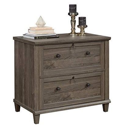 Sauder Miscellaneous Storage cabinet, L: 32.87" x W: 20.55" x H: 29.96 ", Emery Oak - WoodArtSupply