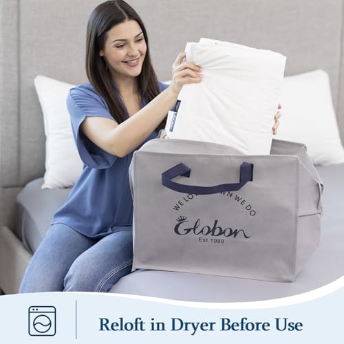 Globon Summer Down ComforterBlanket Queen Size, Extra Lightweight Duvet Insert for Hot Sleepers, Noiseless & Extra Soft,90x90 inches,10 Ounce Fill Weight, White Globon