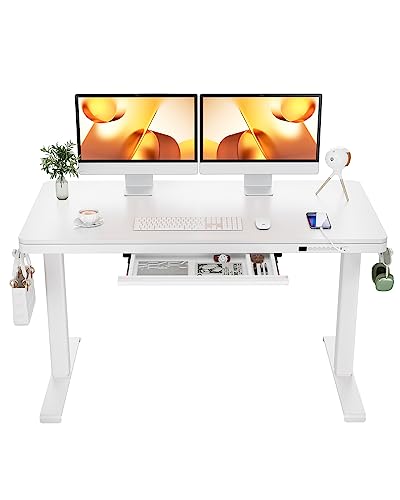 ErGear Dual Motor Electric Standing Desk with Drawers,48x24 Inch Whole-Piece Quick Install,Height Adjustable Stand up Sit Stand Home Office Ergonomic Workstation with USB Charging Ports(White - WoodArtSupply