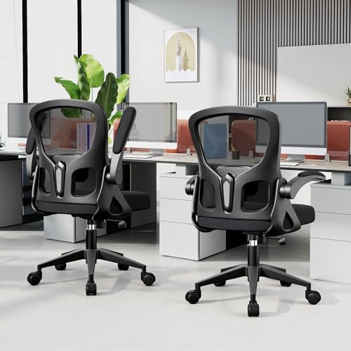 FINATI Office Chair Ergonomic Desk Chair, Adjustable Lumbar Support Rolling Swivel Comfy Chair with Space-Saving Flip Up Armrests, Breathable Mesh Gaming Chair for Business Work Office & Home, Black FINATI