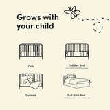 Storkcraft Casablanca Convertible Crib with Drawer and Toddler Guardrail (Driftwood) – GREENGUARD Gold Certified, Toddler Bed Conversion Kit Included, Fits Standard Crib Mattress, Crib with Storage