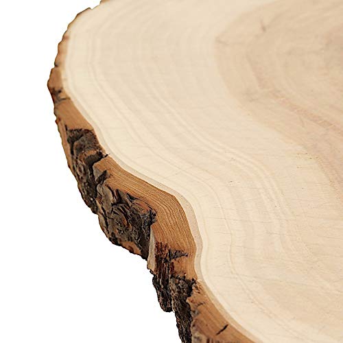 BalsaCircle 14-18-Inch Wide Natural Round Poplar Wooden Slices Party Tabletop Centerpieces - Wedding Party Crafts Home Decorations BalsaCircle BalsaCircle Centerpieces