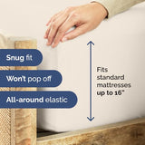 Twin XL Fitted Bed Sheet - Bottom Single Fitted Sheet Only - Ultra-Soft Hotel Luxury Bedding w/ 8-16 Inch Deep Pockets - Breathable & Wrinkle Free - Easy-Care, Fade and Shrink Resistant - Off White CGK Unlimited