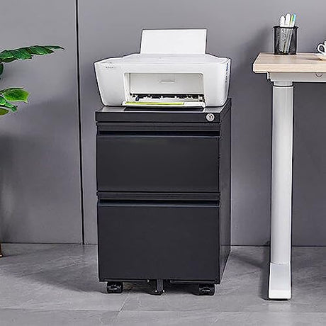 SISESOL 2 Drawer File Cabinet with Lock, Under Desk Metal Filing Cabinet for Home Office,Lockable Rolling File Cabinet with 2 Keys for Legal/Letter/a4 Size SISESOL