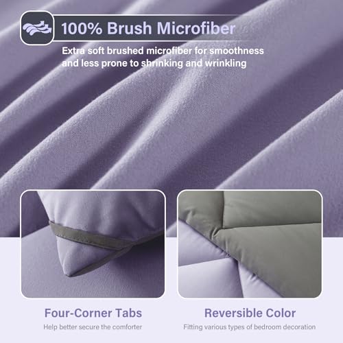 Cosybay Bed in a Bag Queen Reversible Comforter Sets 7pcs All Season Down Alternative Bedding Sets Lavender and Grey with Comforter, Pillow Shams, Flat Sheet, Fitted Sheet and Pillowcase Cosybay