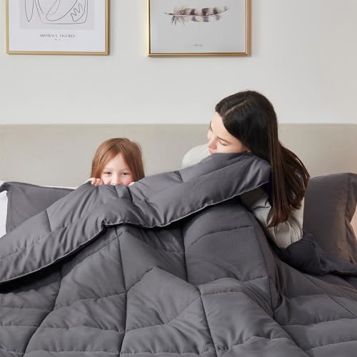 Nestl Comforter Duvet Insert, Quilted Down Alternative Twin XL Size, All Season Grey with Corner Tabs Nestl
