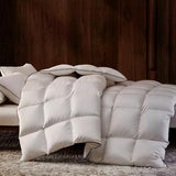 Feather Down Fiber Comforter Queen Size,Premium Ultra-Soft Breathable Comforter High Fill Power White Duvet Insert,All Season Hotel Luxury Bedding Comforters 8 Corner & Center Loops,Baffle Box Design HYVIF