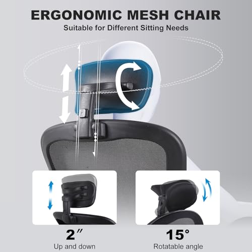 10 Pack Ergonomic Office Chair with 3D Adjustable Headrest, Mesh Home Office Desk Chairs with Lumbar Support & Flip-Up Armrests for Office, Home and Conference Room(10 Pack) Flysky