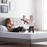 LUCID Zippered Mattress Encasement – Waterproof Twin Size Mattress Protector – Fits Mattresses 6 to 18 Inches with Secure Elastic – Shields All 6 Sides – Quiet cover – White LUCID