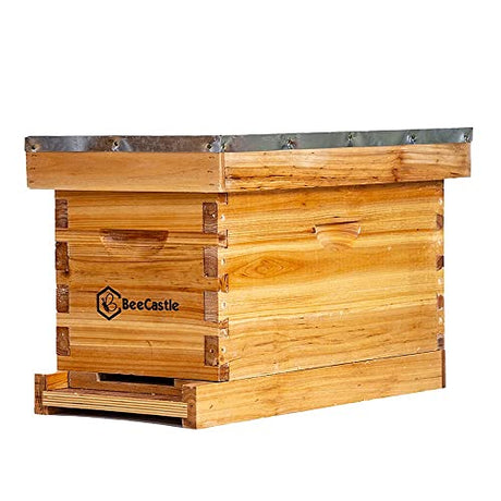 BeeCastle 5 Frame Bee Hive Nuc Box Coated with 100% Beeswax Includes Beehive Frames and Waxed Foundations BeeCastle