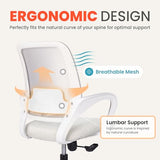 NEO Chair Office Desk Ergonomic Mesh Computer Chair with Lumbar Support Adjustable Height Swivel Rolling Wheels Comfy Mid Back Task Chair for Home Bedroom Vanity Study (Ivory) NEO CHAIR