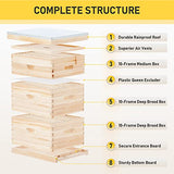 CREWORKS Bee Hive with 10 Medium &20 Deep Honeycomb Foundation Frames, Bee Box for Beekeeper Starter, Beekeeping Supplies Equipment Tool, Wood Complete Honey Bee Hives Kit, 3 Layer Bees House Box CREWORKS