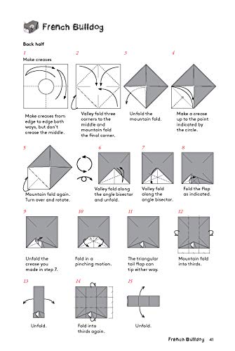 Origami Animal Boxes Kit: Cute Paper Models with Secret Compartments! (14 Animal Origami Models + 48 Folding Sheets) Tuttle Publishing