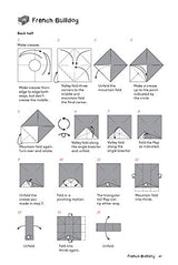 Origami Animal Boxes Kit: Cute Paper Models with Secret Compartments! (14 Animal Origami Models + 48 Folding Sheets) Tuttle Publishing