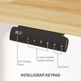FlexiSpot E6 Solid Wood 3-Stage Dual Motor 48 x 24 Electric Standing Desk, Holds 220 lbs, Adjustable Height w/ Memory Presets, Butcher Block Rubberwood Desktop & White Frame, Ships in 2 Boxes FLEXISPOT