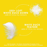 Canadian Down & Feather Co. - All Season Weight White Feather & Down Duvet Twin Size - 240 TC Shell 100% Cotton - Oeko TEX Certified Canadian Down & Feather Company