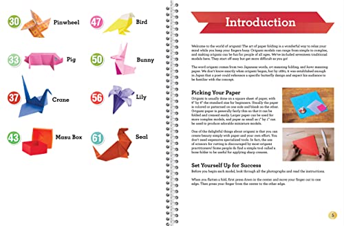 Origami Tips and Techniques: Learn the Elegant Japanese Art WoodArtSupply