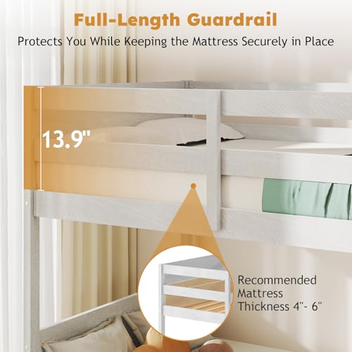 Zevemomo Low Twin Over Twin Bunk Bed, Solid Rubberwood Bed Frame with Built-in Ladder, Floor Bunk Bed, Wooden Bed for Small Spaces, Bedroom, Space Saving, No Box Spring Needed, White Zevemomo